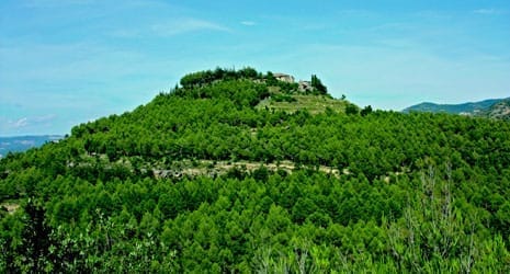 Portaspana ® UTM Desarrollos