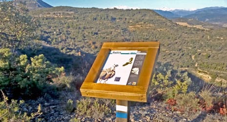 Pie interpretativo del buitre ® UTM Desarrollos