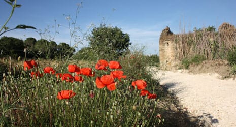 Panel del patrimonio hidráulico en el sendero interpretado de los usos del agua de Graus ® UTM Desarrollos